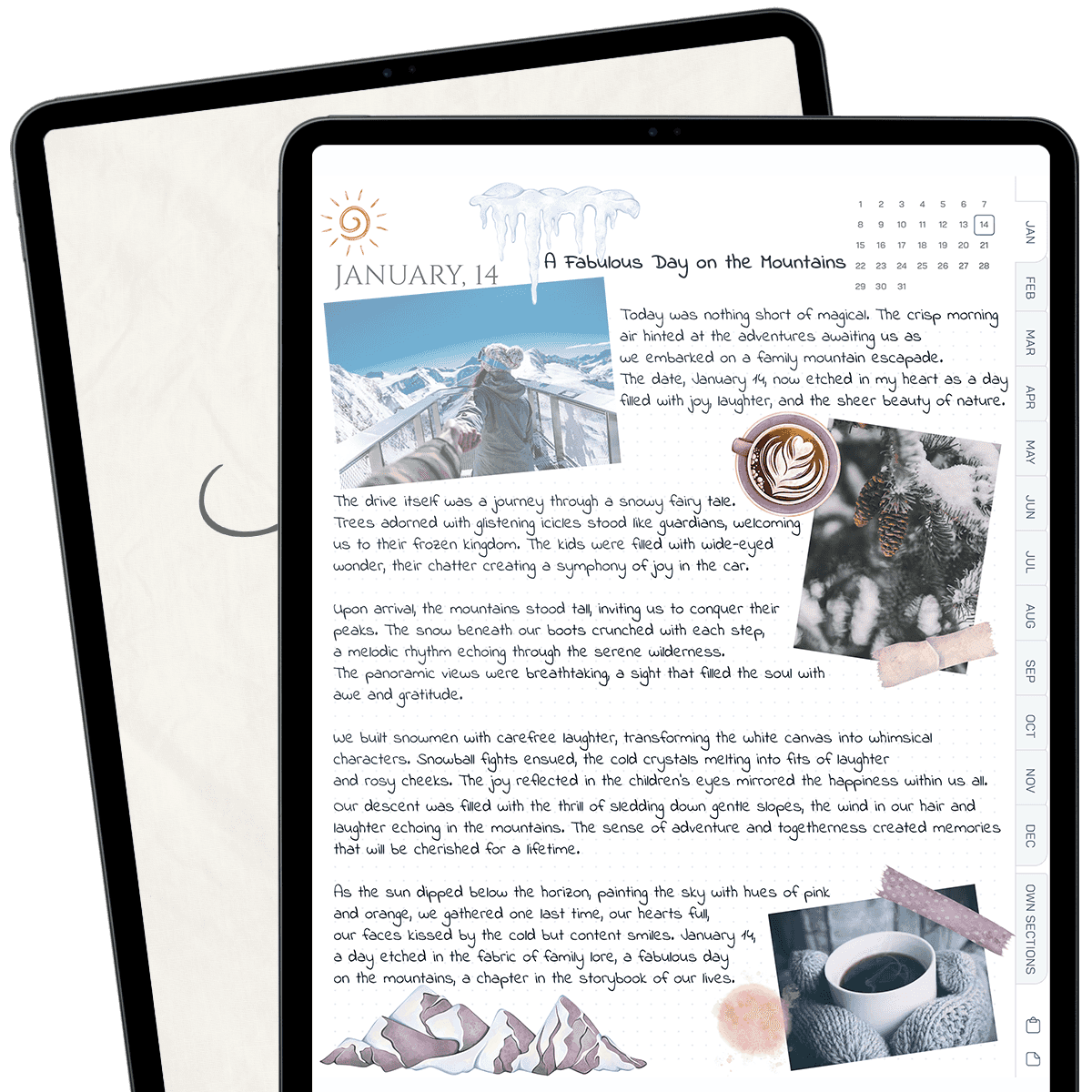 Daily journal